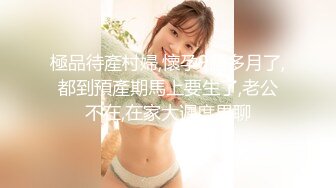 91CM-222.何小丽.说唱巨星的淫谋.91制片厂