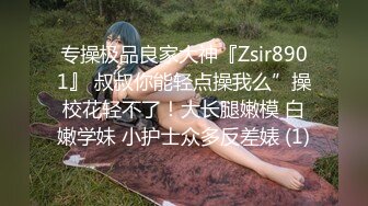 夢魔小鎮柯爾內莉卡 1