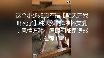 我的女装日记之勾引司机