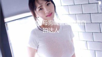 PMC-108-大胸女销售肉穴求成交.被操得淫叫换取业绩-李蓉蓉