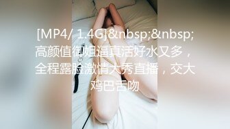 探花精选 专约熟女系列(1)