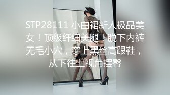 大圈嫩模女友2