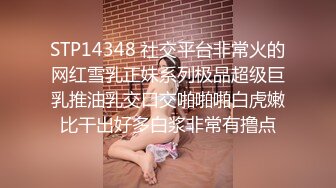 HPP-0027 柔伊 超真实搭讪性爱 巧遇多汁嫩逼女仆 辣椒原创 x 麻豆传媒映画