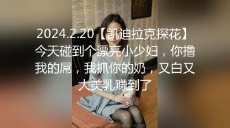 [MP4]渔网情趣装 D罩杯粉乳 风骚小姐姐遇上打桩机 激情碰撞 骚叫震天响 注定一场视觉性爱盛宴