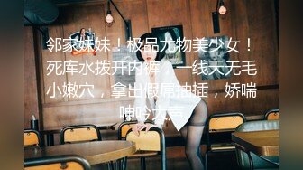 骚母狗老婆被大鸡吧日逼