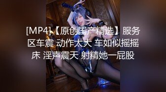 千里送逼，坐上高铁去约炮【妖娆小宝贝】美腿御姐，高铁厕所自慰，奥迪车震