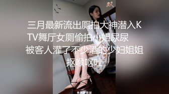 AV0033 大象传媒 大象新春多人特别企划