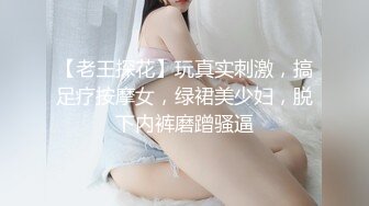 南阳调教骚母狗（一）-同事-妹妹-长腿-女仆-换妻