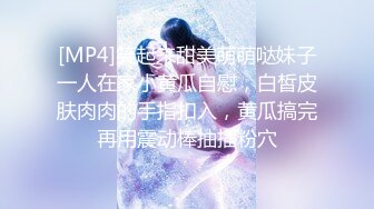 麻豆传媒 MD-0314 白色情人节交换伴侣巨乳女友换人操-苏畅