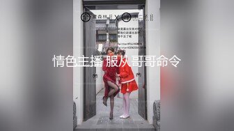 -puppydog第四部-晚会极品C奶