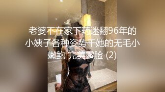 极品国模小环2017.04.23精品私拍套图