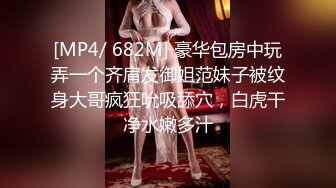 【兔子先生高清4K】旋律马克斯和兔子先生在东京第 1 部分