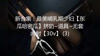 新合集！最美哺乳期少妇【东瓜哈密瓜】挤奶~道具~无套内射【30v】 (3)