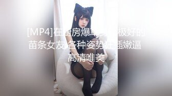 [HD/0.6G] 2023-04-19 RAS-183名人AV重現計畫