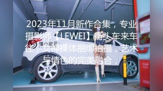 2023年11月新作合集，专业摄影师【LEWEI】街头车来车往，女神裸体捆绑拍摄，艺术与情色的完美融合，