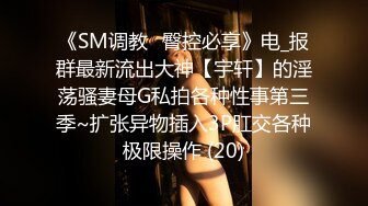 《SM调教✅臀控必享》电_报群最新流出大神【宇轩】的淫荡骚妻母G私拍各种性事第三季~扩张异物插入3P肛交各种极限操作 (20)