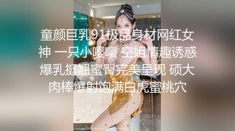 国产麻豆AV MD MD0063 女優面試員 袁庭妮