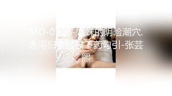 MD-0218-婊妹的阴险潮穴.表哥归乡后被下药勾引-张芸熙