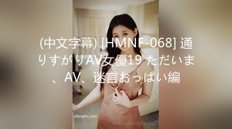 (中文字幕) [HMNF-068] 通りすがりAV女優19 ただいま、AV、迷言おっぱい編