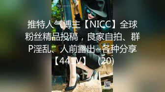 推特人气博主【NICC】全球粉丝精品投稿，良家自拍、群P淫乱、人前露出~各种分享【441V】   (20)